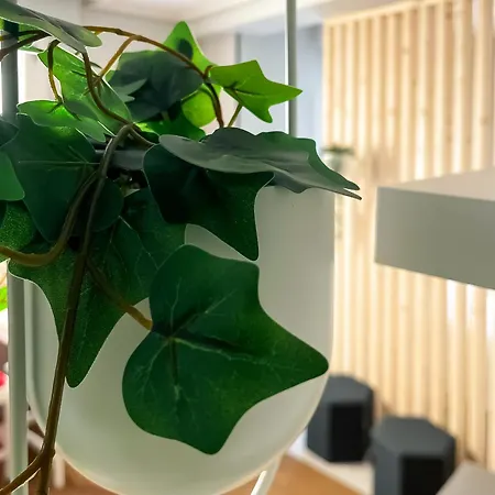 Marqués 7 By Vigovacaciones